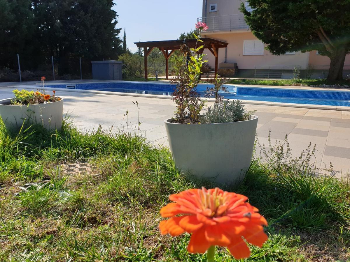 Olive Apartments Ugljan Zewnętrze zdjęcie