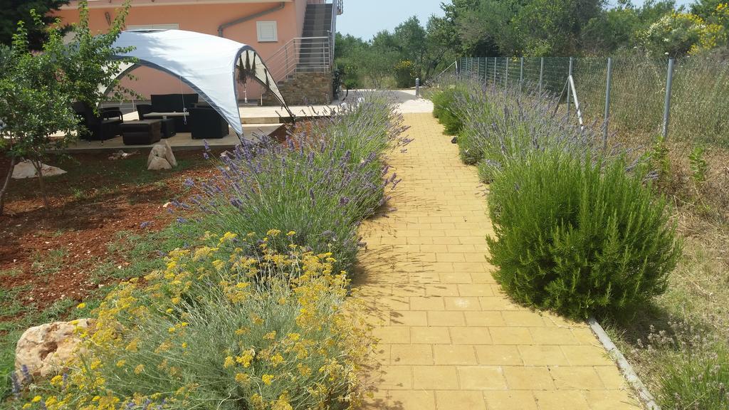 Olive Apartments Ugljan Zewnętrze zdjęcie