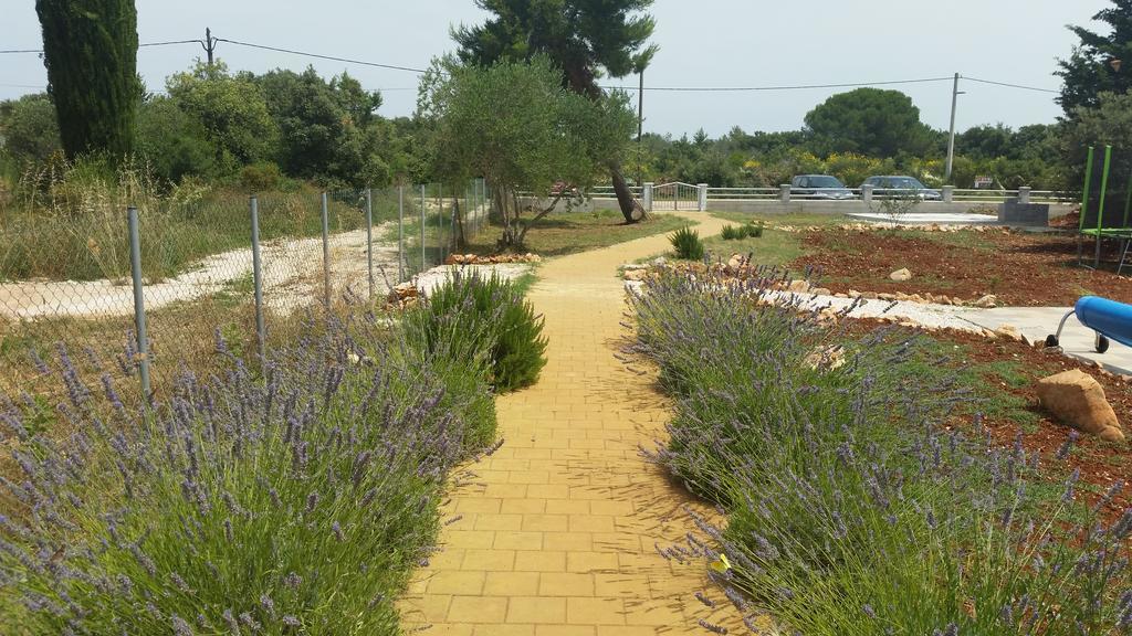 Olive Apartments Ugljan Zewnętrze zdjęcie