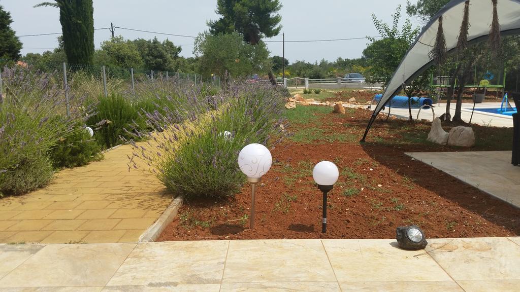 Olive Apartments Ugljan Zewnętrze zdjęcie